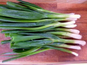 best way to store green onions in the refrigerator